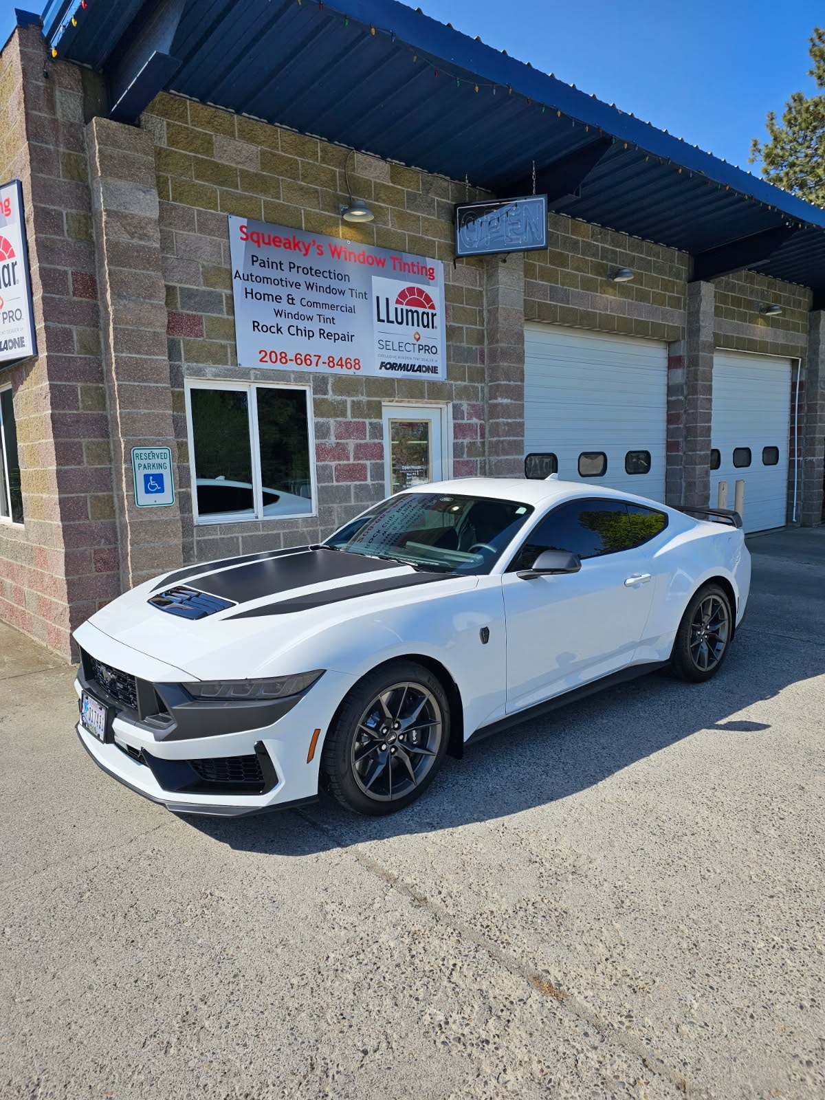 Exotic automotive tinting project